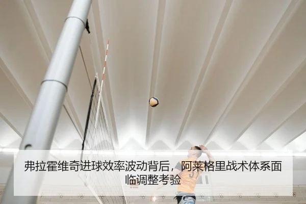 弗拉霍维奇进球效率波动背后，阿莱格里战术体系面临调整考验
